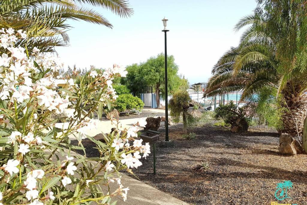 Appartement Bouganville rez-de-chaussée WIFI Costa De Antigua Extérieur photo